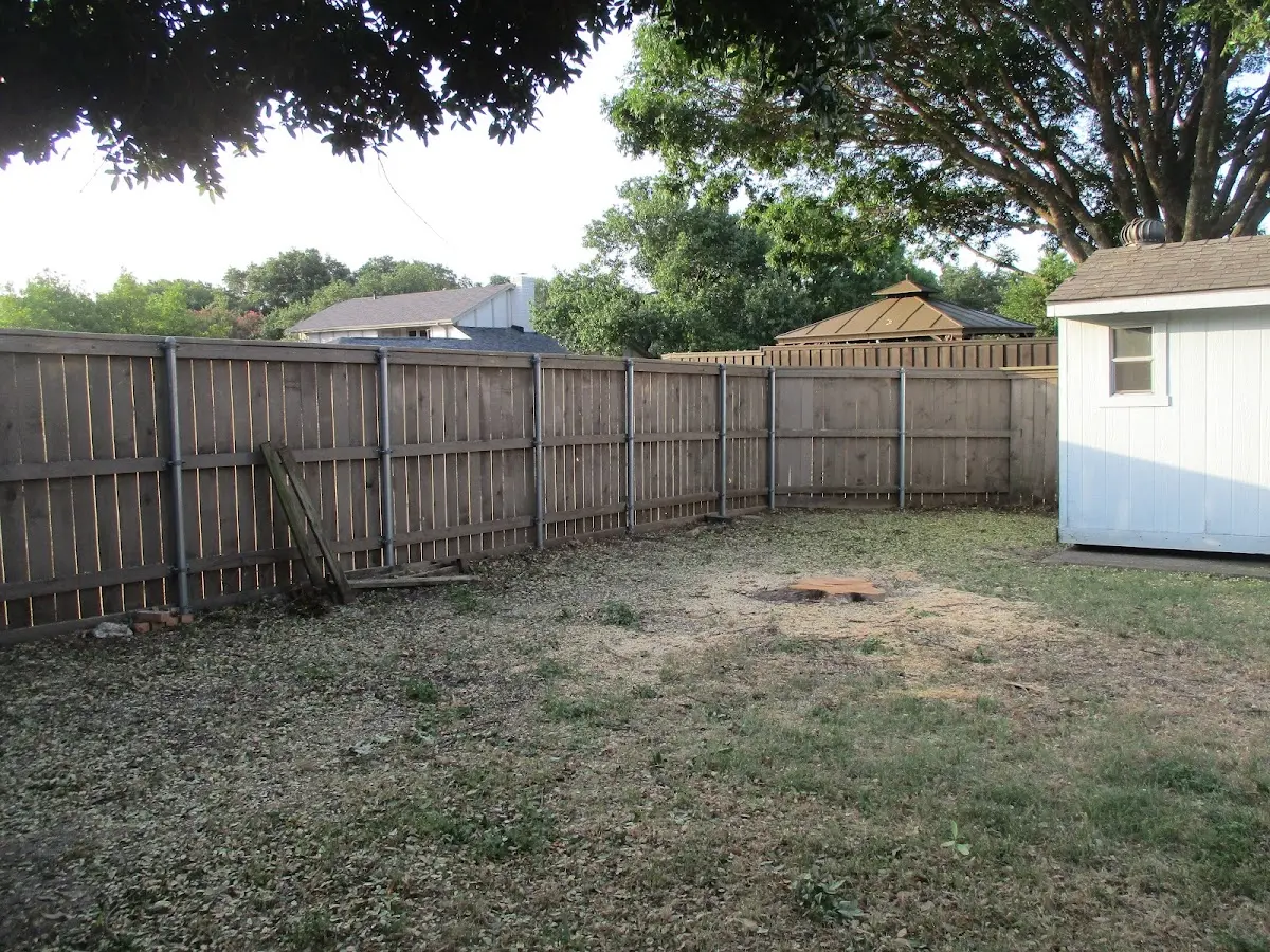 Cleared yard after professional tree removal in North Charleston